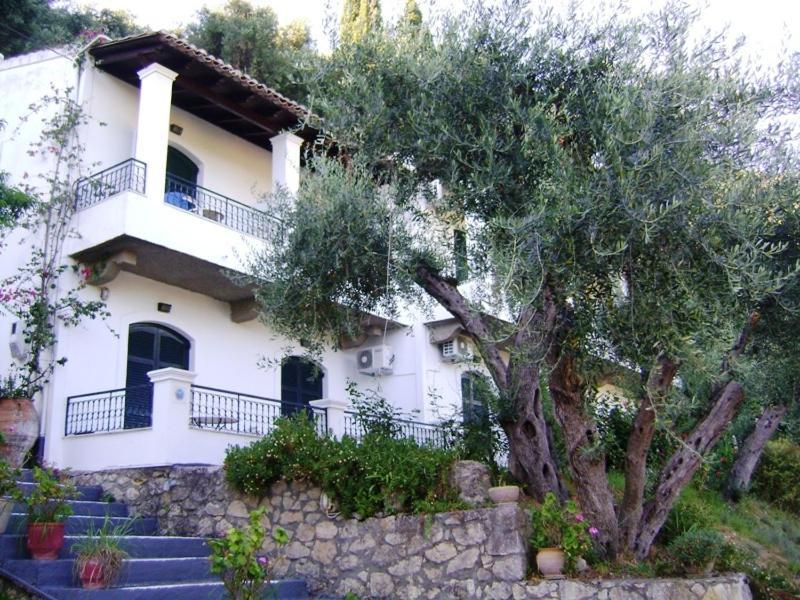 Natasa And Spiros Apartment Paleokastritsa Bagian luar foto